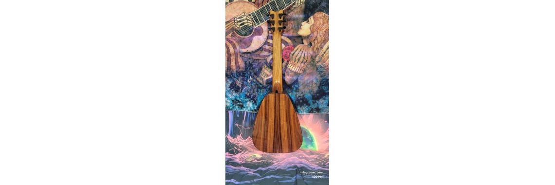Romero Vibrante 6 String  Spruce Pau Ferro back