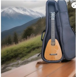 Romero Creations "Vibrante" 6 String Cedar Guilele